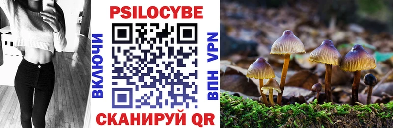 Псилоцибиновые грибы Psilocybe  mega   Славянск-на-Кубани 